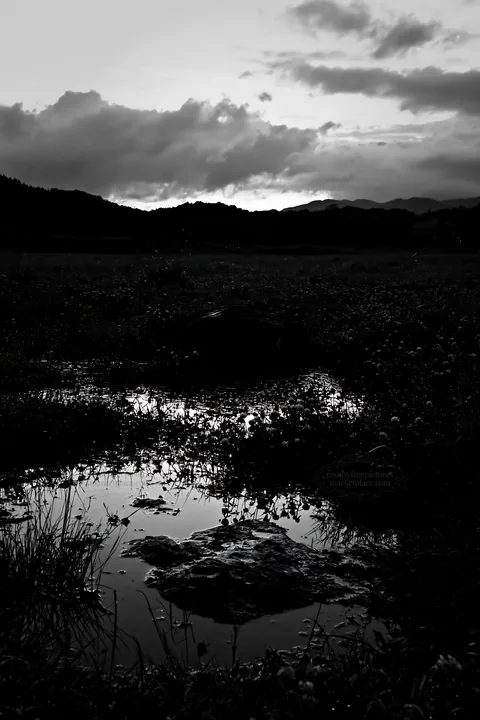 Black and white nagano drought resilient meadow granite boulder at sunset - AI-generated stock image