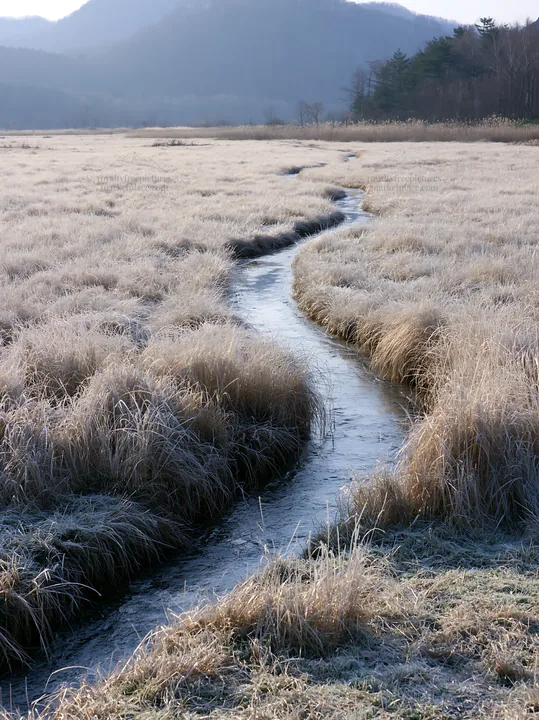 Akita snowmelt meadow with silver grasses and a winding stream - AI-generated stock image