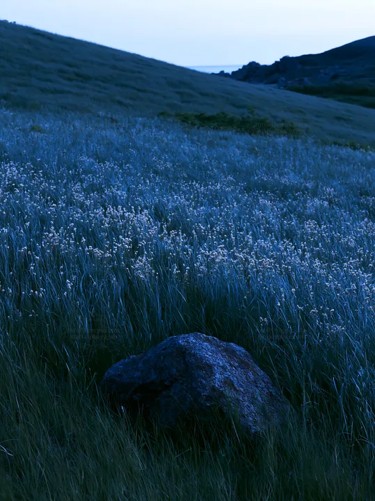 Aomori climate resilient meadow with boulder - AI-generated stock image