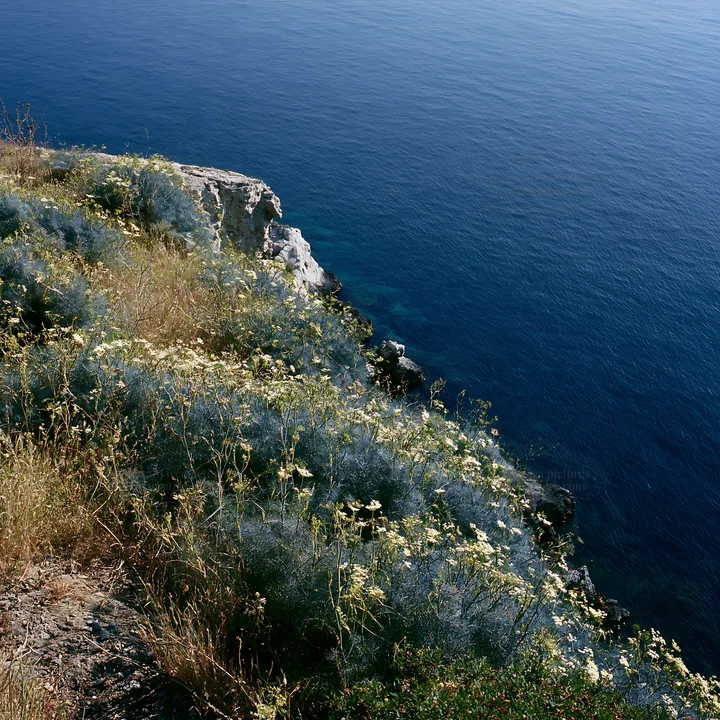 Coastal meadow cliffs overlooking clear blue water - AI-generated stock image
