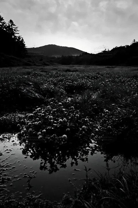 Black and white nagano drought resilient meadow granite boulder - AI-generated stock image