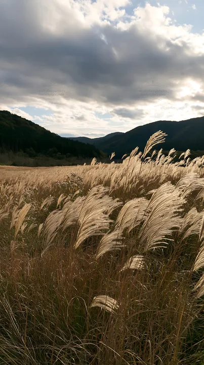 Okayama golden meadow with seedhead foreground - AI-generated stock image