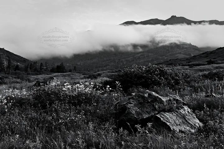 Black and white aomori climate resilient meadow with boulder - AI-generated stock image