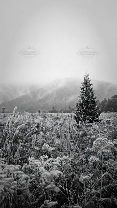 Vibrant Christmas tree in winter meadow with mountain backdrop - AI-generated stock image