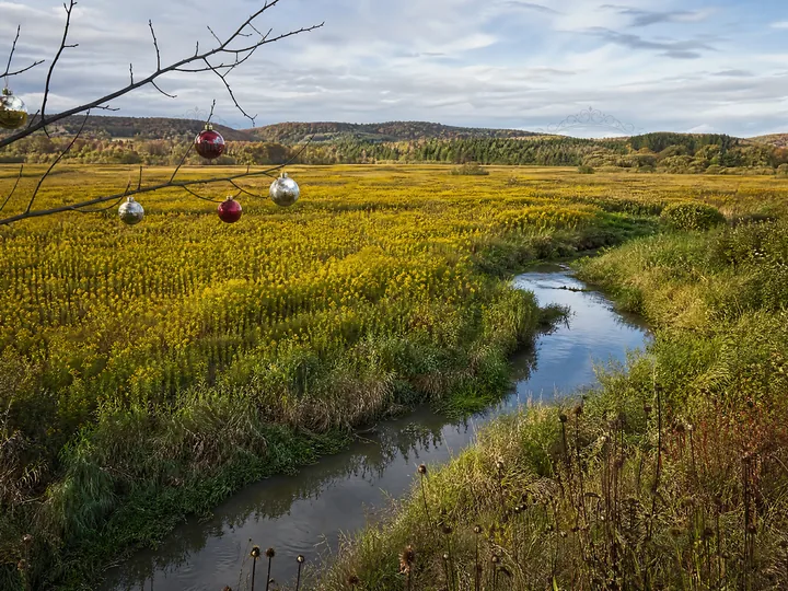 Christmas ornaments hanging above stream in meadow - AI-generated stock image