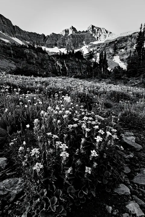 Flower meadow with distant mountain cascade - AI-generated stock image
