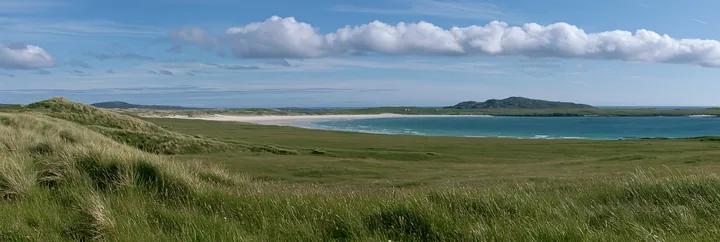 Machair beach meadow with ocean view on a sunny day - AI-generated stock image