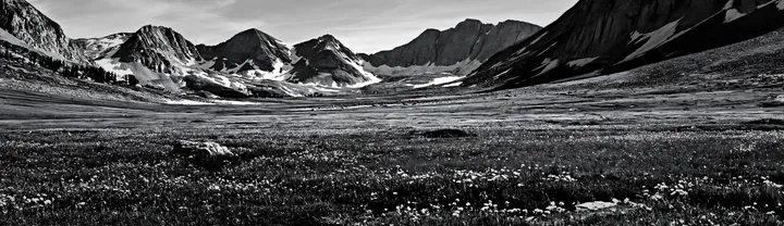 Climate-resilient meadow in mountainous landscape - AI-generated stock image