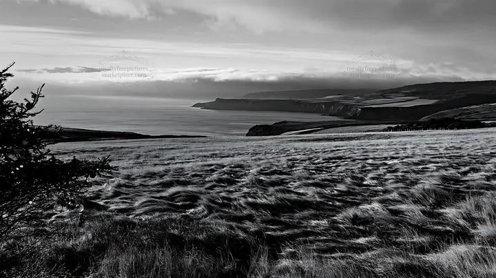 Expansive meadow with coastline under cloudy sky - AI-generated stock image