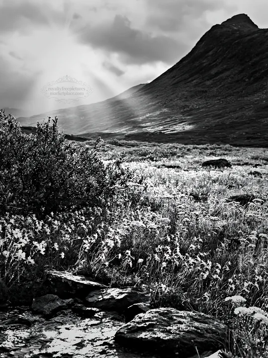 Sunbeams shine over Jotunheimen valley meadow - AI-generated stock image