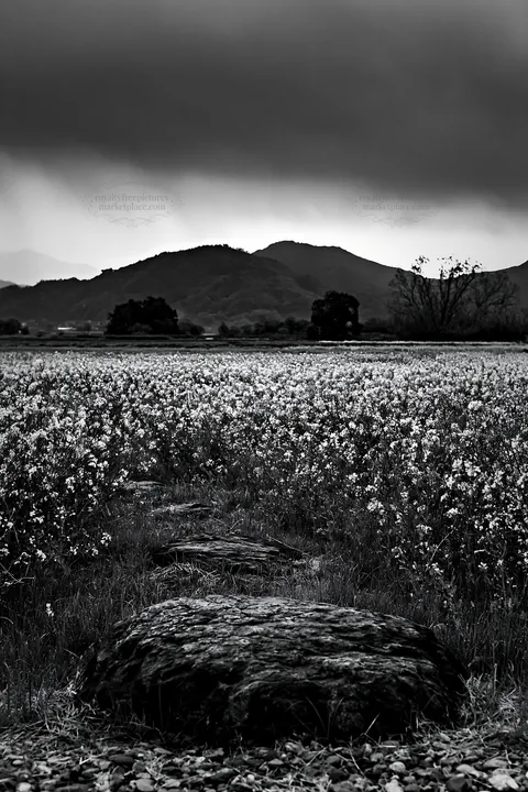 Hiroshima rainy meadow with smooth rock in foreground - AI-generated stock image