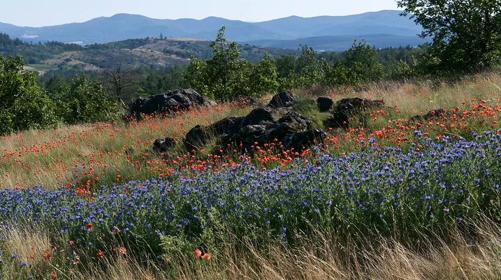 Poppy viper's-bugloss meadow with mountains in the background - AI-generated stock image