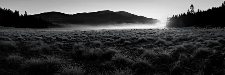 Black and white frosty meadow sunrise with mist and mountains in background - AI-generated stock image