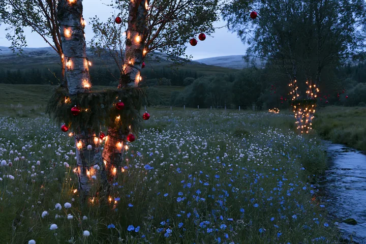Christmas lights beside stream in meadow with flowers - AI-generated stock image