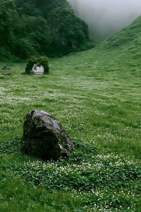 Limestone meadow with white flowers and a pale boulder - AI-generated stock image