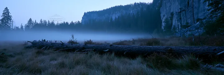 Weathered log in a misty meadow at dawn - AI-generated stock image