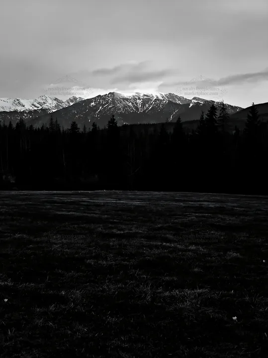 Black and white tatra mountains meadow spring snowmelt at dusk - AI-generated stock image