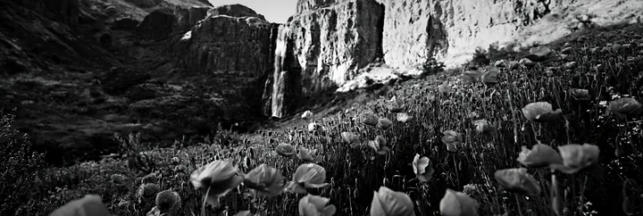 Wildflower meadow near a waterfall in summer - AI-generated stock image
