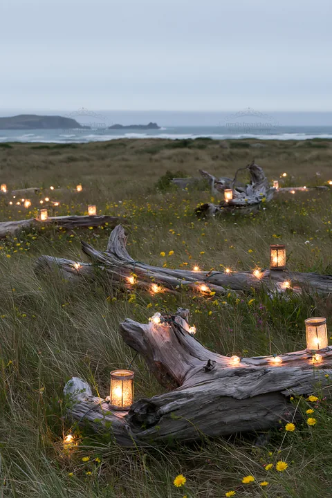 Expansive Christmas meadow with lights and driftwood in evening - AI-generated stock image