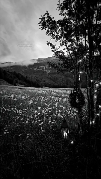 Christmas string lights in mountain valley meadow at night - AI-generated stock image