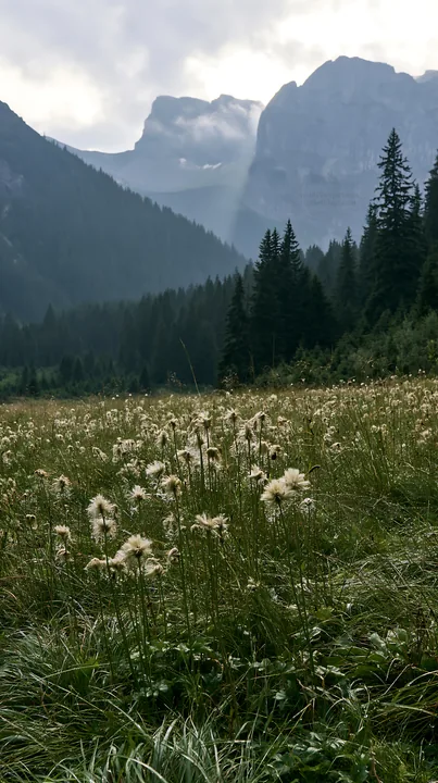 Rain soaked meadow with mountains in the background - AI-generated stock image