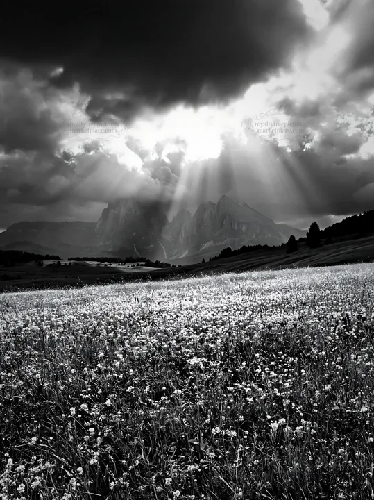 Sunbeams over Alpe di Siusi meadow with flowers - AI-generated stock image