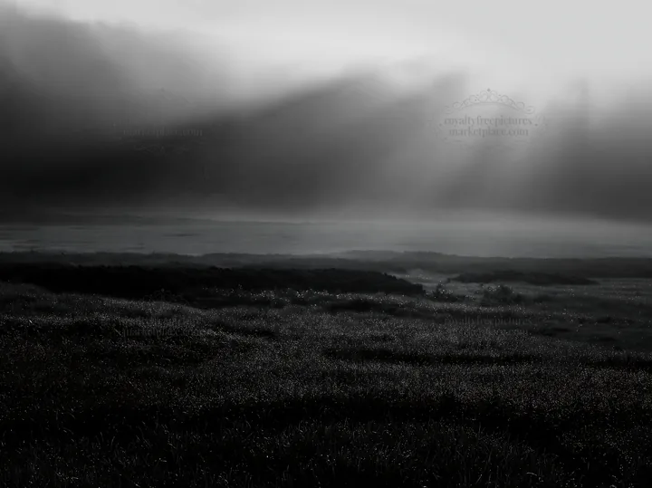 Light rays over Daisetsuzan alpine meadow during early morning - AI-generated stock image