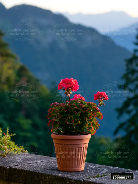 Potted red geranium blooming on a stone balcony railing with blurred mountain scenery behind it.