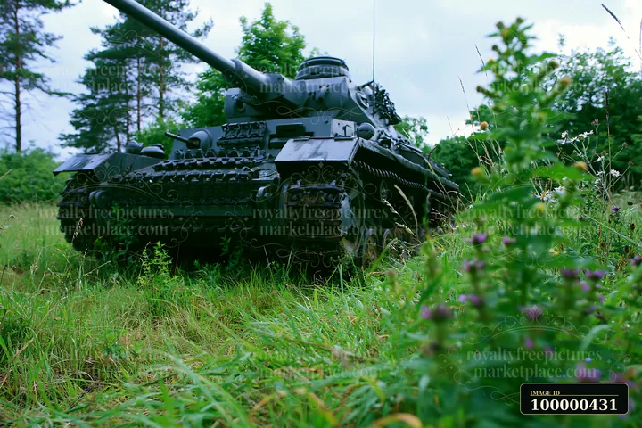 A panzer tank surrounded by grass sits in an outdoor area.