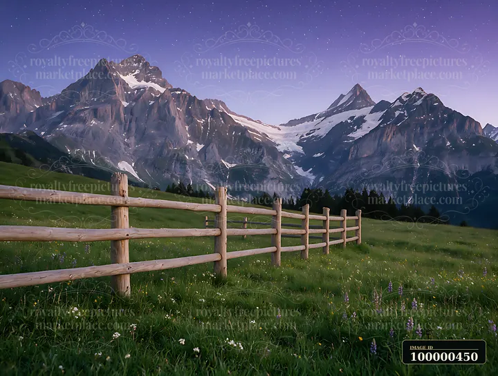 A clear night sky filled with stars rests above the Swiss mountains.