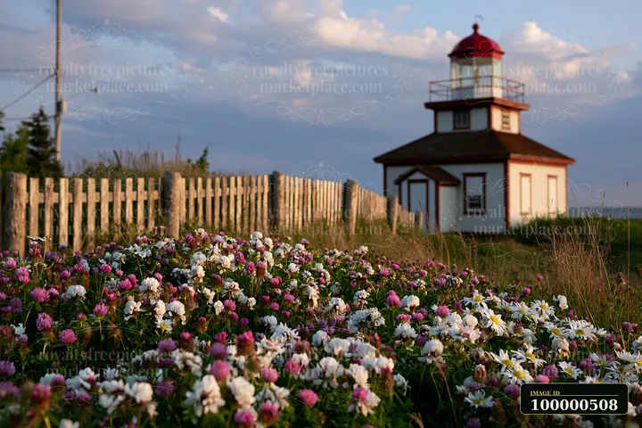 Foxglove flowers by cottage can be seen in full bloom in the foreground, with a charming cottage and wooden fence in the background under a blue sky and soft cl