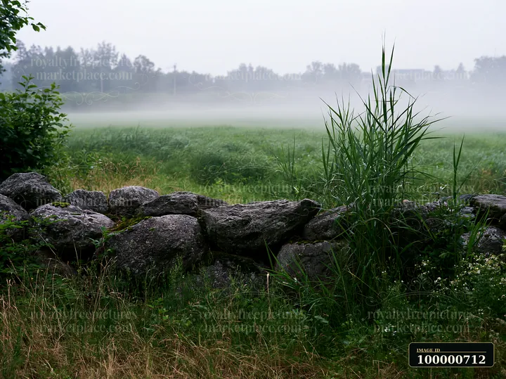 Fog drifts across a meadow while a rocky stone wall lines the edge.