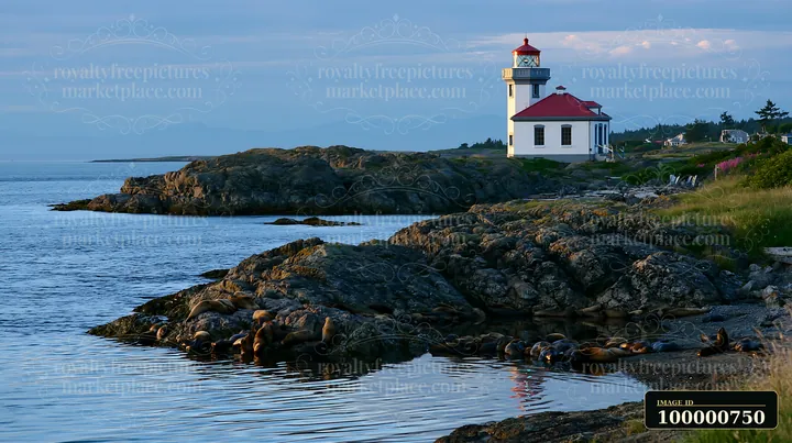 A lighthouse is located near a rocky shoreline where seals rest on the rocks.