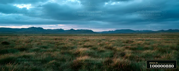 Long grass covers the landscape as dark clouds gather above the distant mountains during twilight.