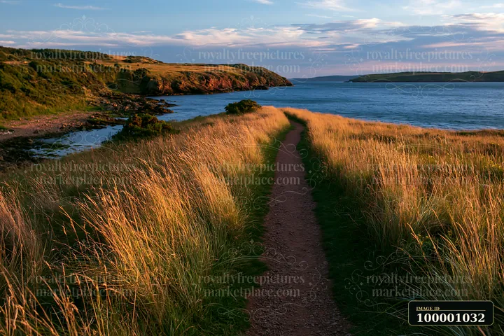 A path winds through tall grass, leading to a coastline with sheltered bay under a colorful sky.