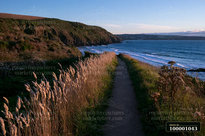 A walking path leads along the coastline with sheltered bay, surrounded by tall grass and cliffs.