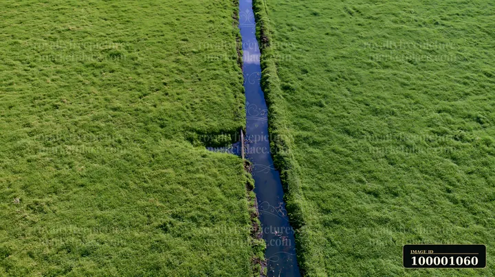 A green meadow viewed from above shows a narrow stream dividing the land.