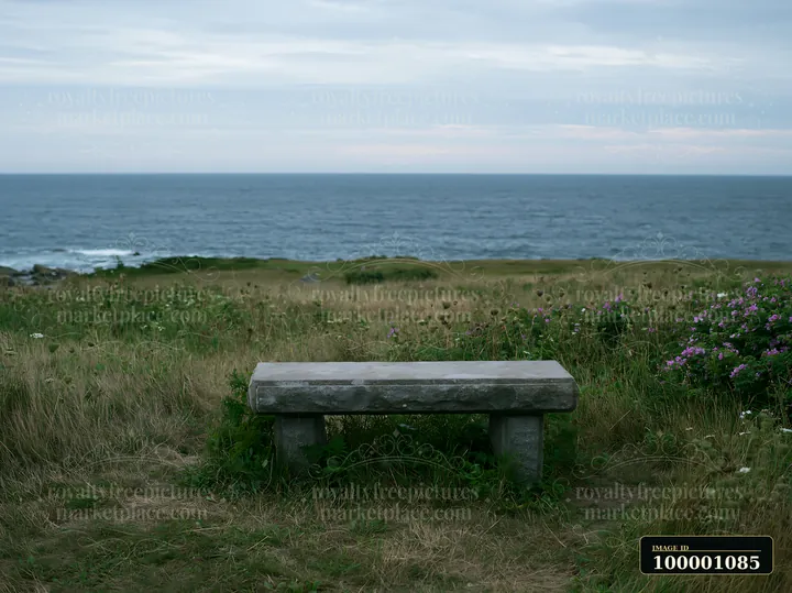 A stone bench sits in a coastal meadow overlooking the ocean.