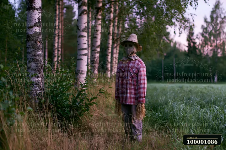A rustic scarecrow stands in a meadow surrounded by tall grass and birch trees during dusk.