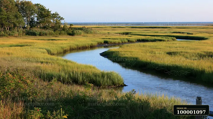 The scene shows a winding waterway through lush green marshland leading to the coastline with protected marine habitat in the distance under a clear sky.