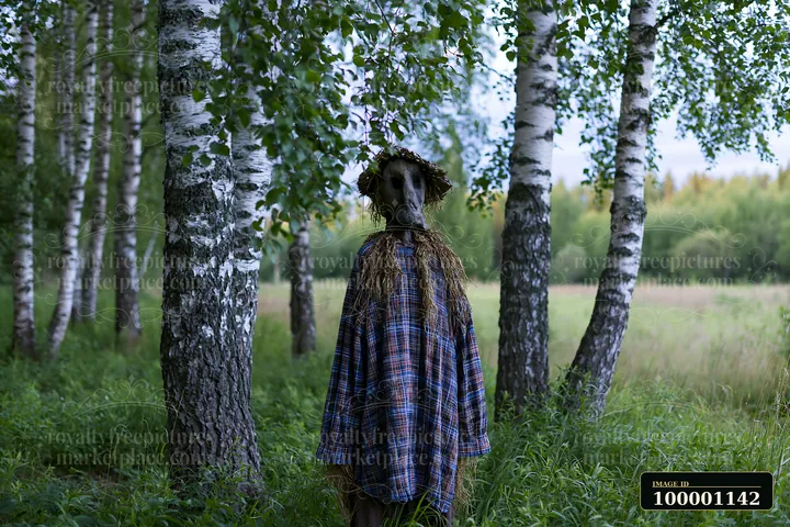 A rustic scarecrow stands in a meadow with tall grass, positioned among birch trees.
