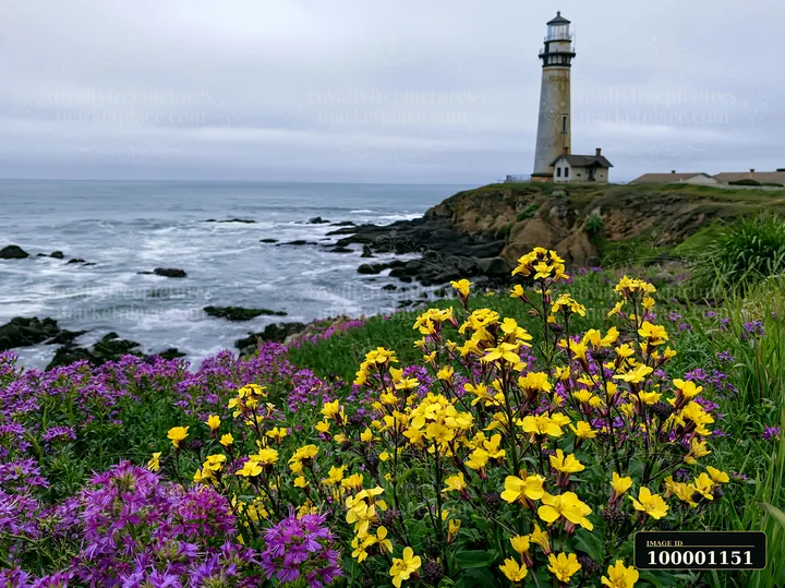 A lighthouse stands on a rocky shore, surrounded by vibrant spring wildflowers.