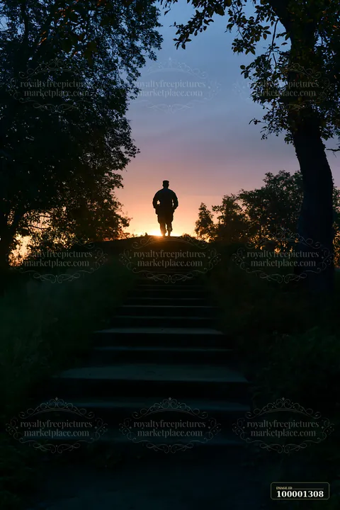 A soldier silhouette at dawn stands on steps leading to a hill with trees around.
