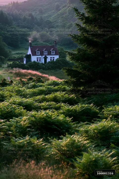 A rural cottage with chimney smoke sits among lush green ferns in a hilly landscape during the evening light.