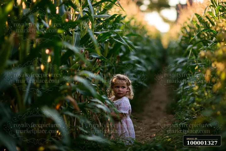 A young child stands in a garden surrounded by tall corn stalks, exploring the area.