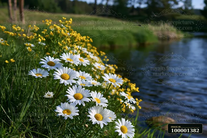 Bright flowers, including white daisies and yellow blooms, grow along the edge of a natural pond.