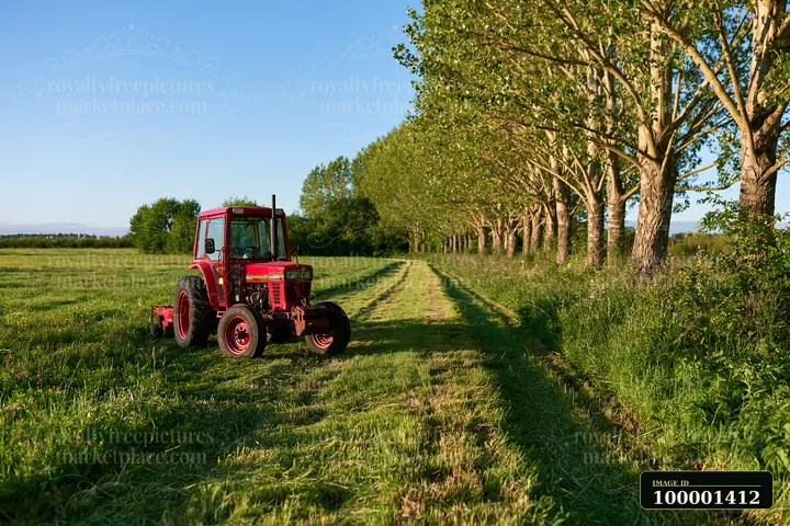 A tractor mows a meadow surrounded by tall trees in a rural setting.