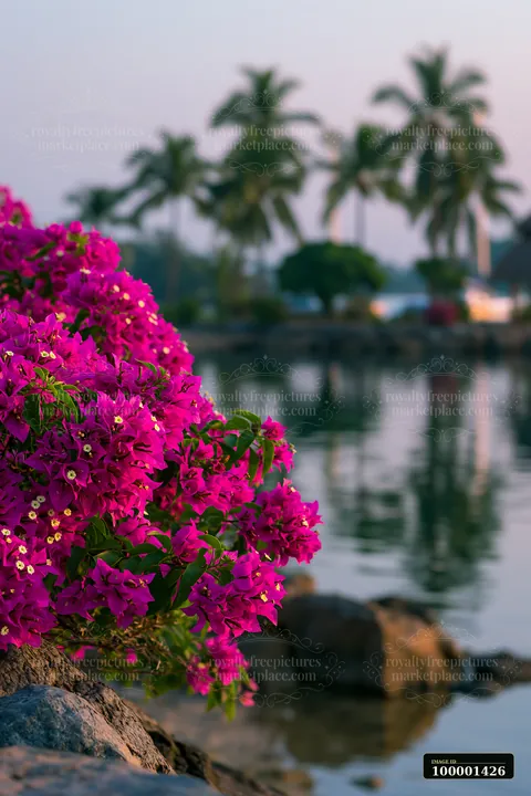 Bright pink flowers grow near the water's edge of a tropical lagoon surrounded by palm trees.
