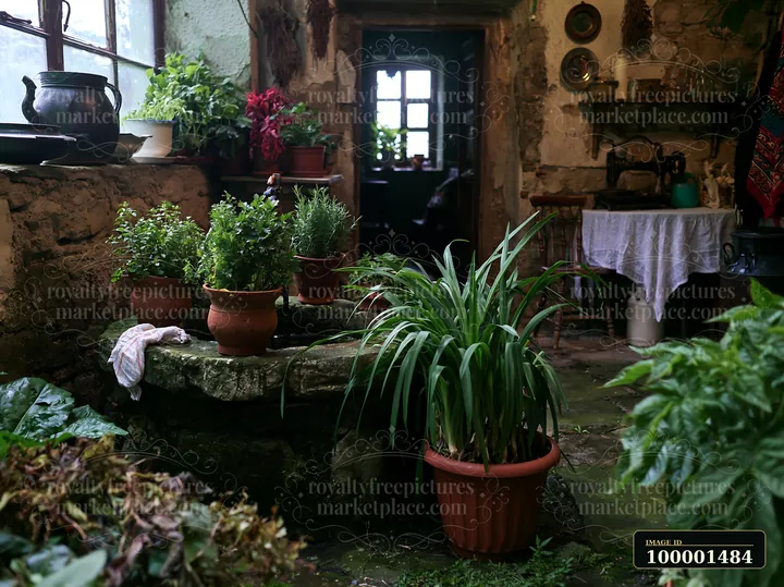 A rustic courtyard features a central well and various potted plants.
