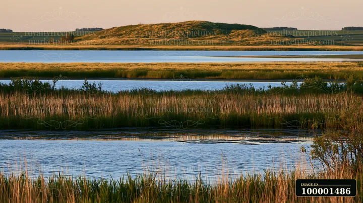 A small island with flowers is seen in warm golden light as the sun sets over a calm water surface.